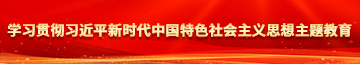 美女啊啊网站快播下载学习贯彻习近平新时代中国特色社会主义思想主题教育